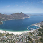 Dolphins captured on the hunt in Hout Bay