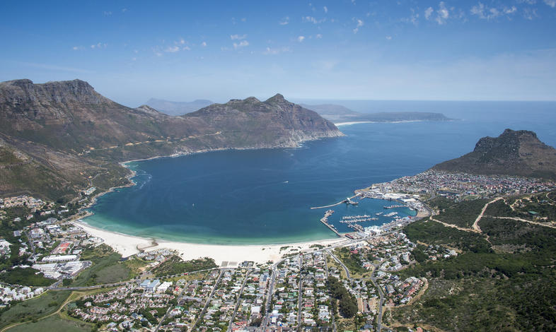 Dolphins captured on the hunt in Hout Bay