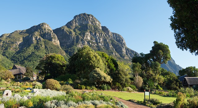 Help Cape Town keep the City Nature Challenge title