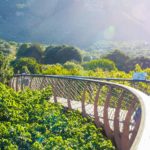 Kirstenbosch to reopen to public for outdoor exercise