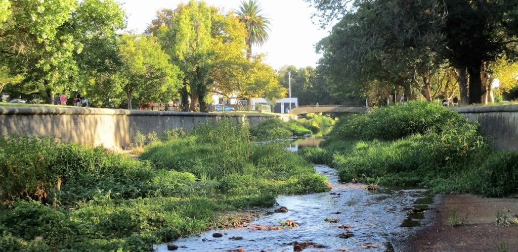 Body of female minor found in Liesbeek River