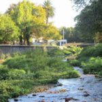 Body of female minor found in Liesbeek River