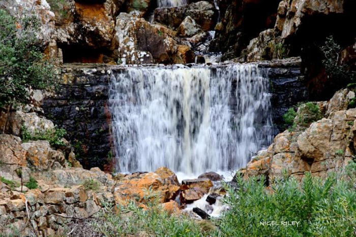 Bountiful waterfalls cascade down the Cape mountains