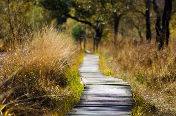 All Cape Town nature reserves open for exercise this week