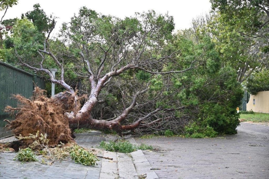 After the Cape storm: Mop-up operations begin