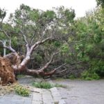 After the Cape storm: Mop-up operations begin