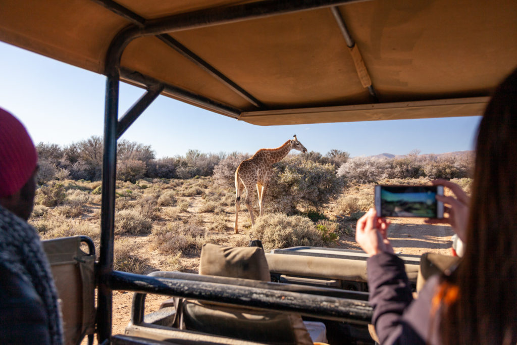 Weekend safari special at Inverdoon from August to September