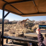 Weekend safari special at Inverdoon from August to September