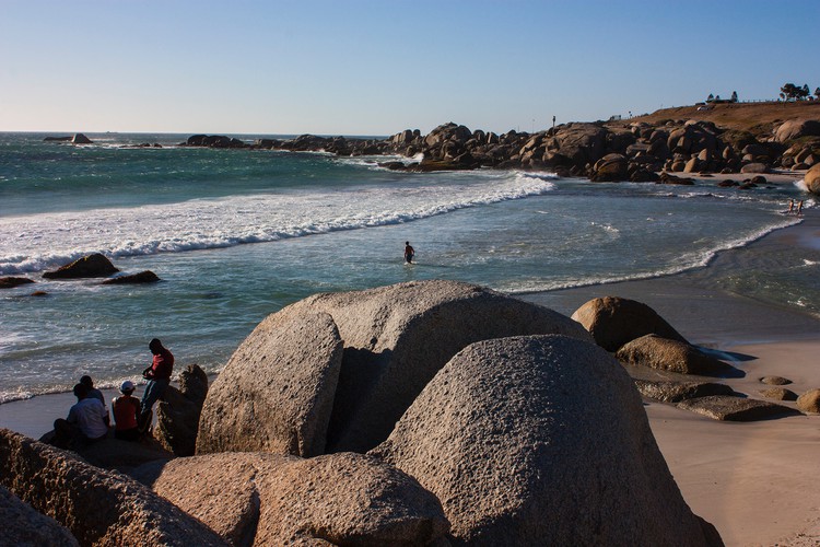 Herbicides accumulate in Camps Bay sea life