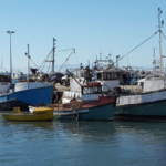 St Helena Bay harbour deepened