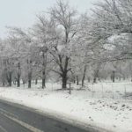 Snow blankets parts of Western Cape - Ceres, Sutherland and Matroosberg