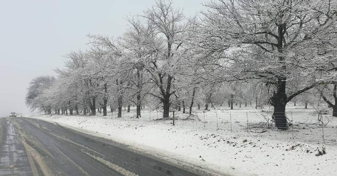 Snow blankets parts of Western Cape - Ceres, Sutherland and Matroosberg