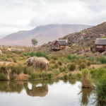 Aquila offers exciting weekend Safari specials