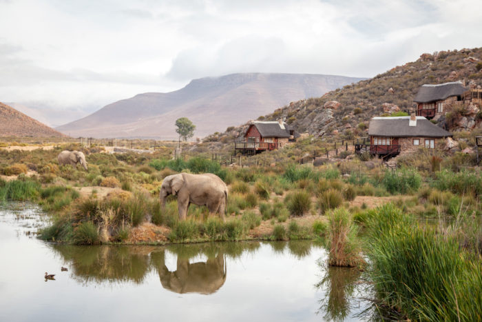 Aquila offers exciting weekend Safari specials