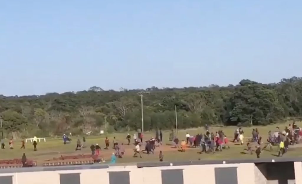 Horse killed, more injured at PE racecourse over employment disputes