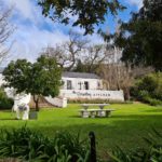 Lunch with the towering Franschhoek Mountains in full view at Mont Rochelle