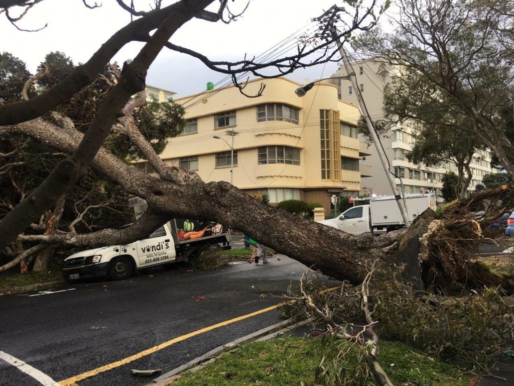 Gale force winds cause destruction in the Mother City