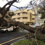 Gale force winds cause destruction in the Mother City