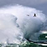 Strong winds stir up the Cape seas