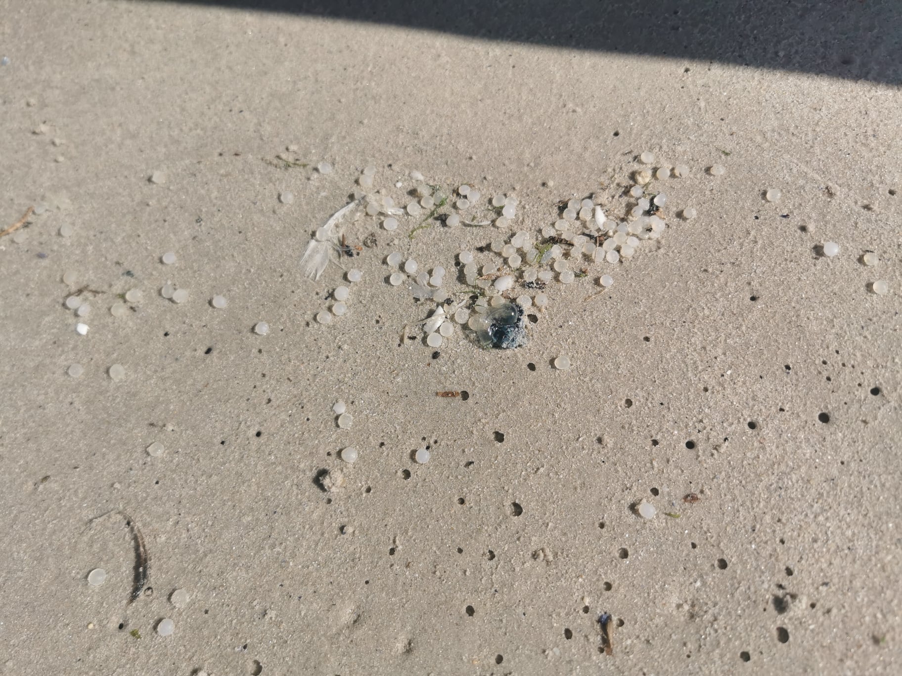 Nurdles wash up on Cape Town beaches