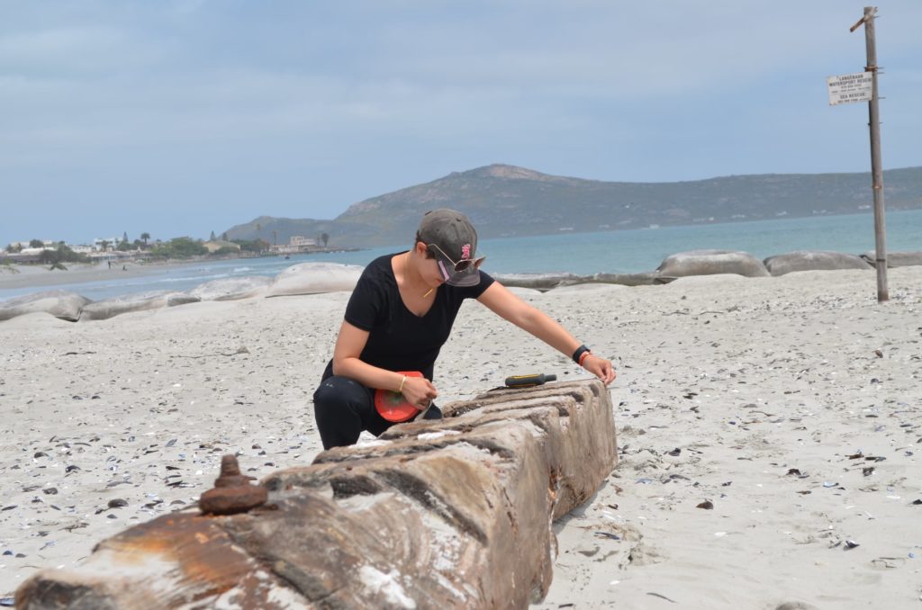 Ship wreckage found in Langebaan