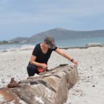 Ship wreckage found in Langebaan