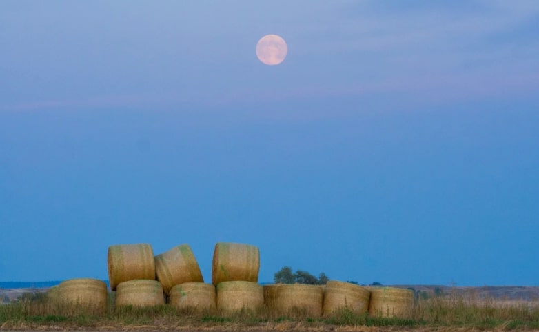 Catch the micro full moon rising tonight