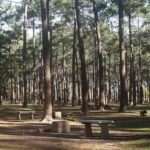 Tokai picnic site reopens to the public