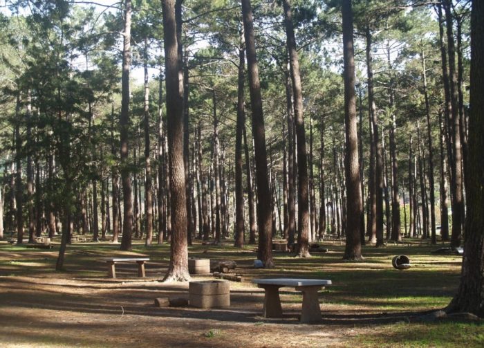 Tokai picnic site reopens to the public