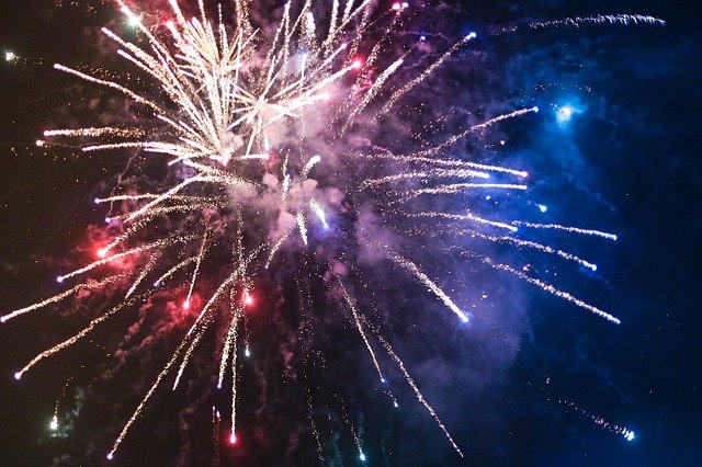 AWS appeals to public to stop Guy Fawkes fireworks