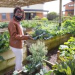 https://www.groundup.org.za/article/school-feeding-crucial-children-lavender-hill/