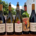 Exploring the Cape's vineyards with WineFlies Tours