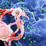 Wits researchers announce “breakthrough” in HIV prevention