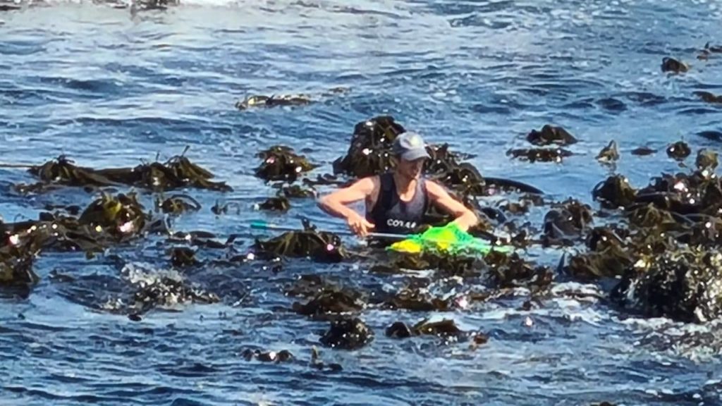 City officials jump in to collect 113 oil cans strewn at Three Anchor Bay