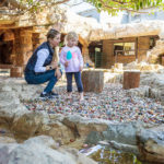 Scratch Patch: A Cape Town gem attraction