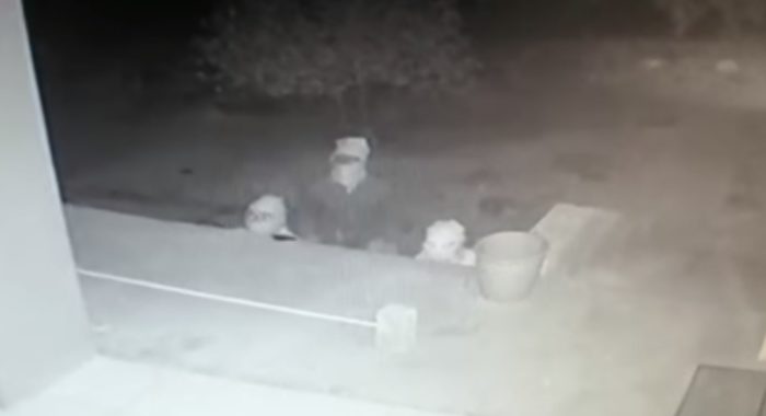 Balaclava-clad culprits caught trying to break into Paarl farm