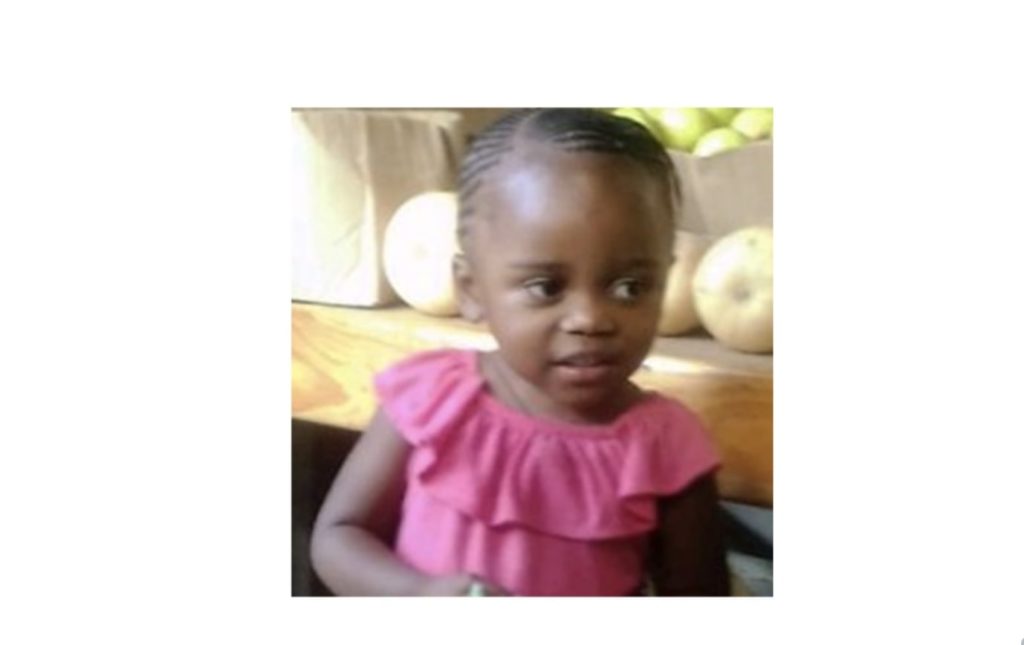 Missing 3-year-old Hout Bay girl