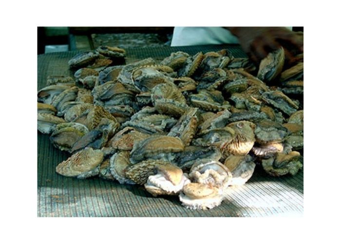 Abalone poacher sentenced to 244 years