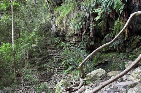 Khoi San occupiers settle in Cecelia Forest