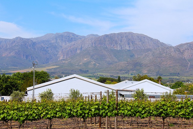 Stellenbosch councillor assaulted by journalist