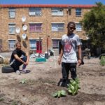 Elsies River youth start garden to feed their community