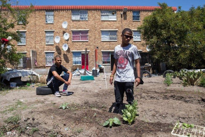 Elsies River youth start garden to feed their community