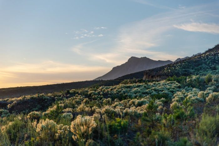 Cape Town’s climate strategy isn’t perfect, but every African city should have one