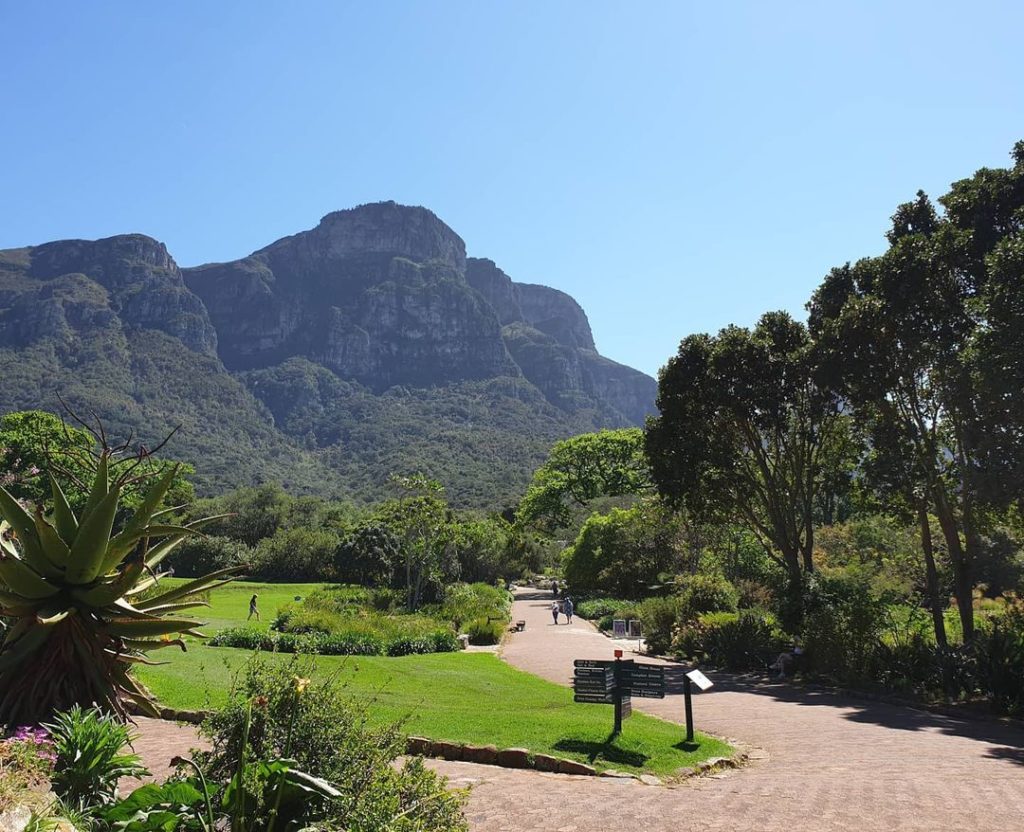 Kirstenbosch named among world's most beautiful botanical gardens