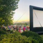 Enjoy an outdoor movie night on a Cape wine farm