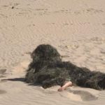 Desperate for the beach? Camouflage yourself