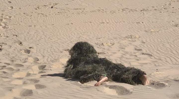 Desperate for the beach? Camouflage yourself