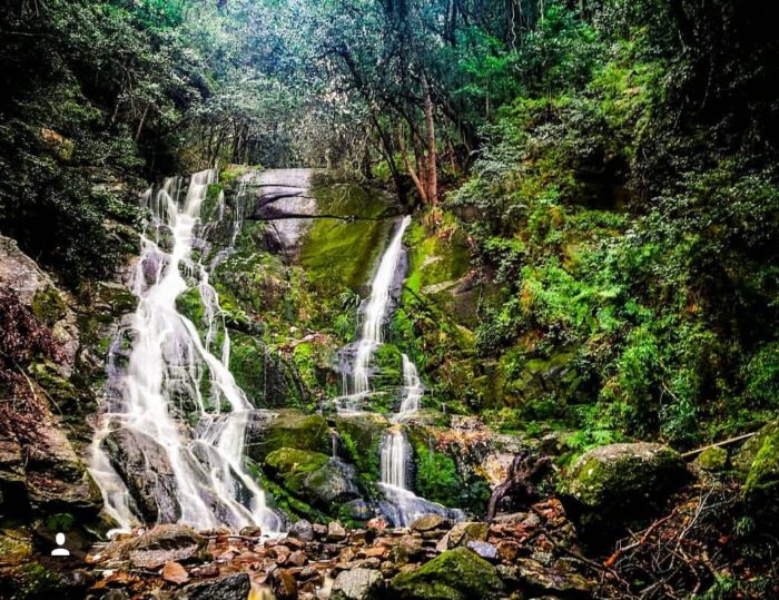 Hiker dies on Table Mountain after losing consciousness