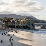 Boulders Beach closed after reaching maximum capacity