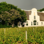 Groot Constantia Sauvignon Blanc named best in world